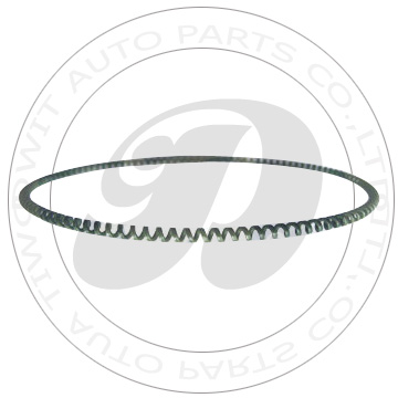 Spring Ring (Teflon)